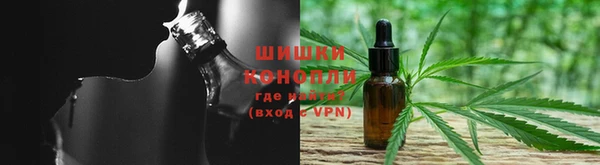 ALPHA PVP Гатчина