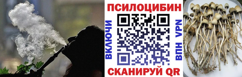 нарко площадка телеграм  Истра  Галлюциногенные грибы MAGIC MUSHROOMS 